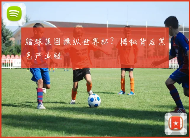 赌球集团操纵世界杯？揭秘背后黑色产业链