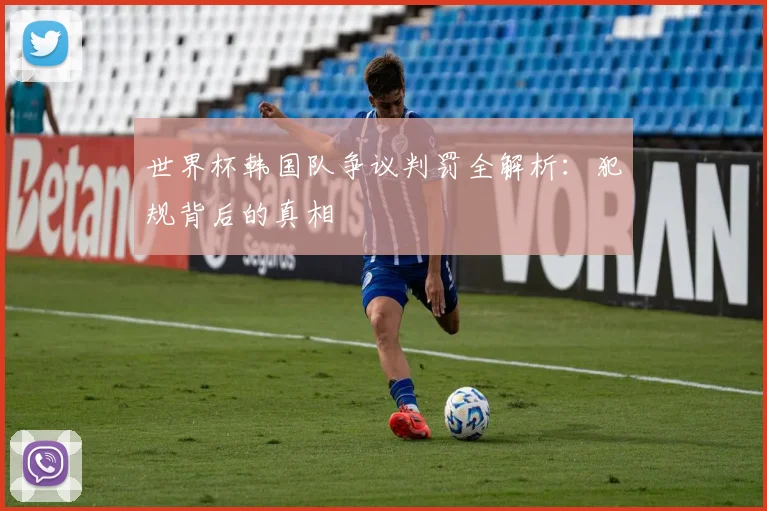 世界杯韩国队争议判罚全解析：犯规背后的真相