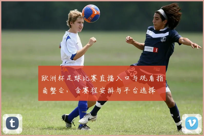 欧洲杯足球比赛直播入口与观看指南整合，含赛程安排与平台选择