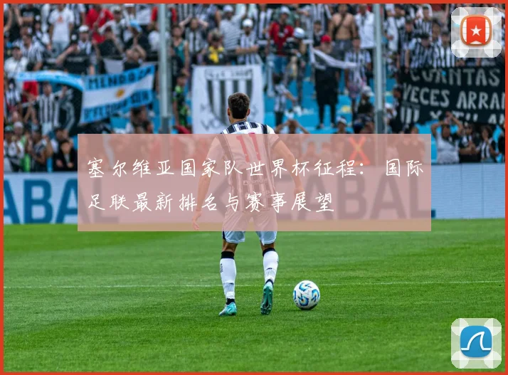 塞尔维亚国家队世界杯征程：国际足联最新排名与赛事展望