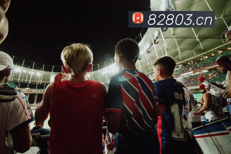 数据防护可视化